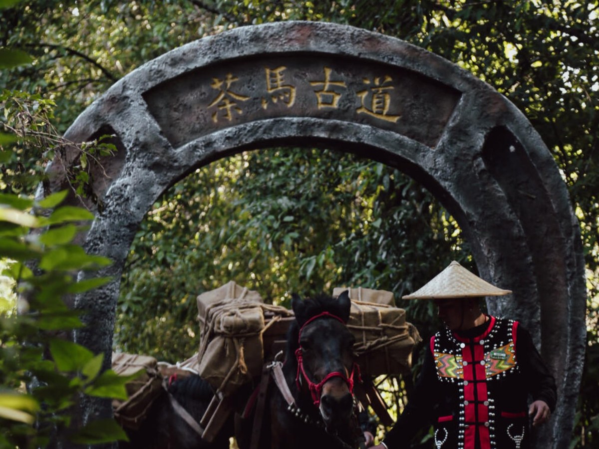 Shaxi Tea Horse Road
